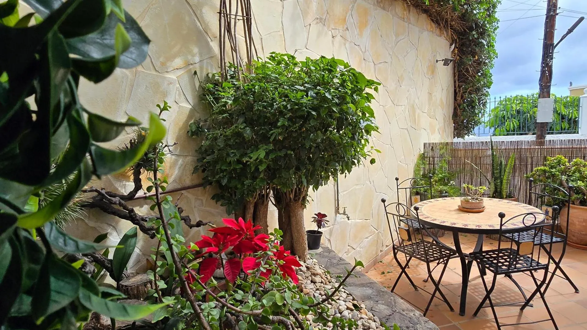 Apartamento Buganvilla Santa Cruz de Tenerife Apartment